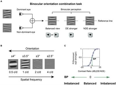 Binocular balance across spatial frequency in anisomyopia